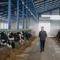 Films for farm buildings by HITEC