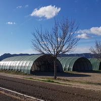 Livestock & Warehouse Buildings