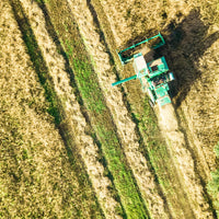 Agricultural grain field harvested