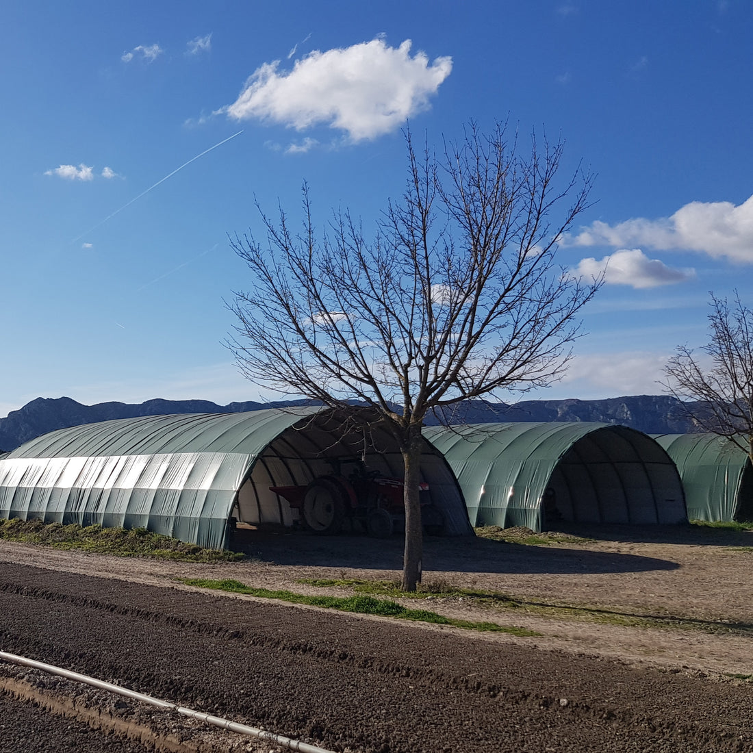 Livestock & Warehouse Buildings