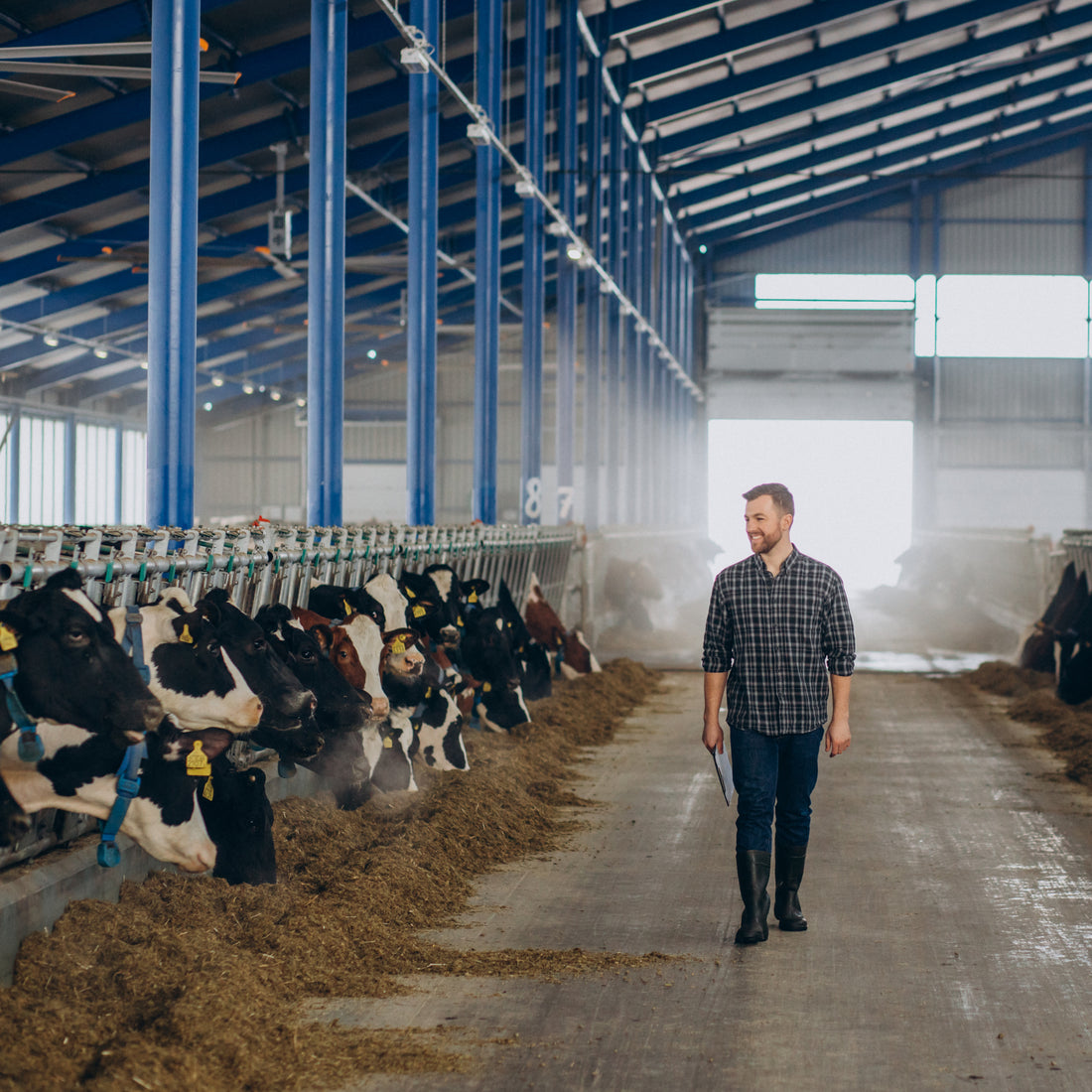 Livestock & Warehouse Buildings