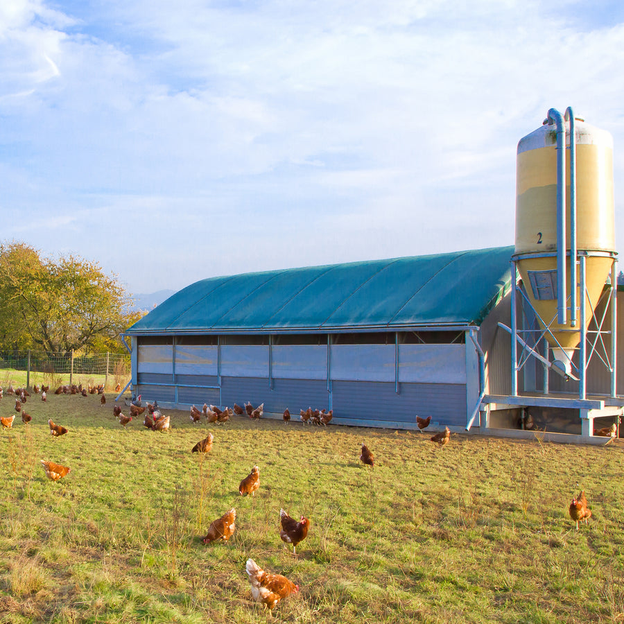 Livestock & Warehouse Buildings