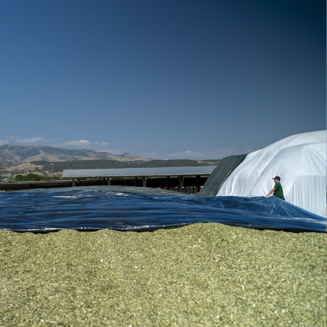 Installation of HITEC’s Combi Barrier silage film over forage pile