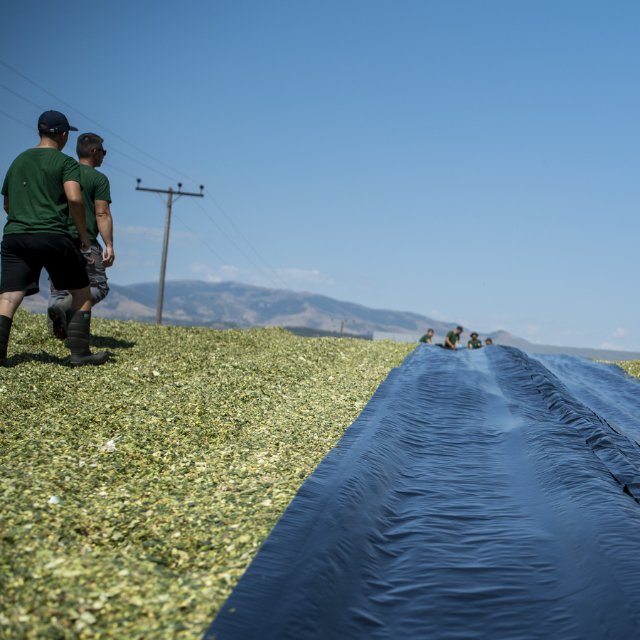 Installation of HITEC’s Combi Barrier silage film over forage pile