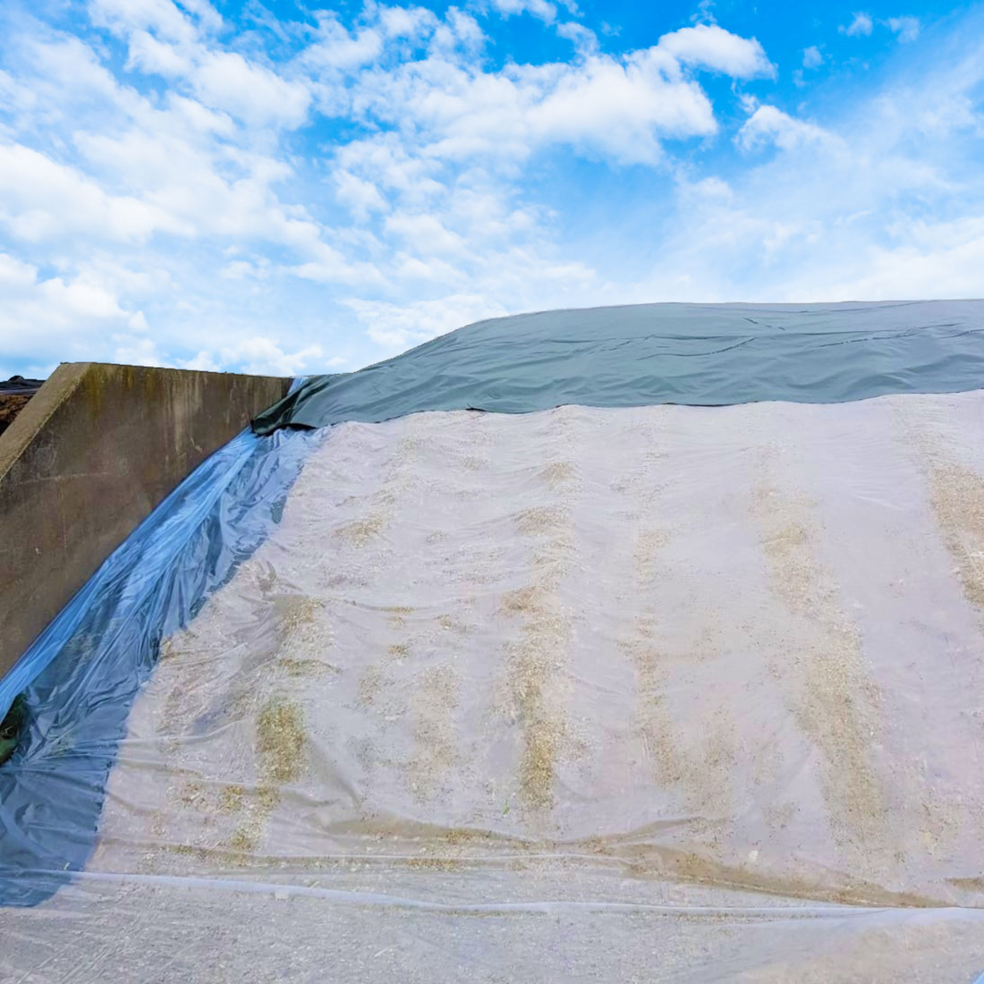 Installation of HITEC’s Combi Barrier silage film over forage pile