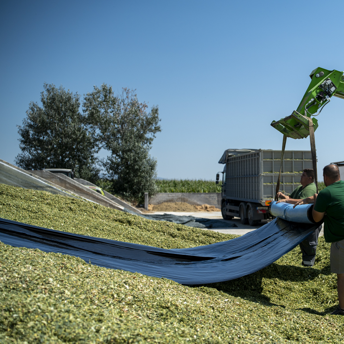 Installation of HITEC’s Combi Barrier silage film over forage pile
