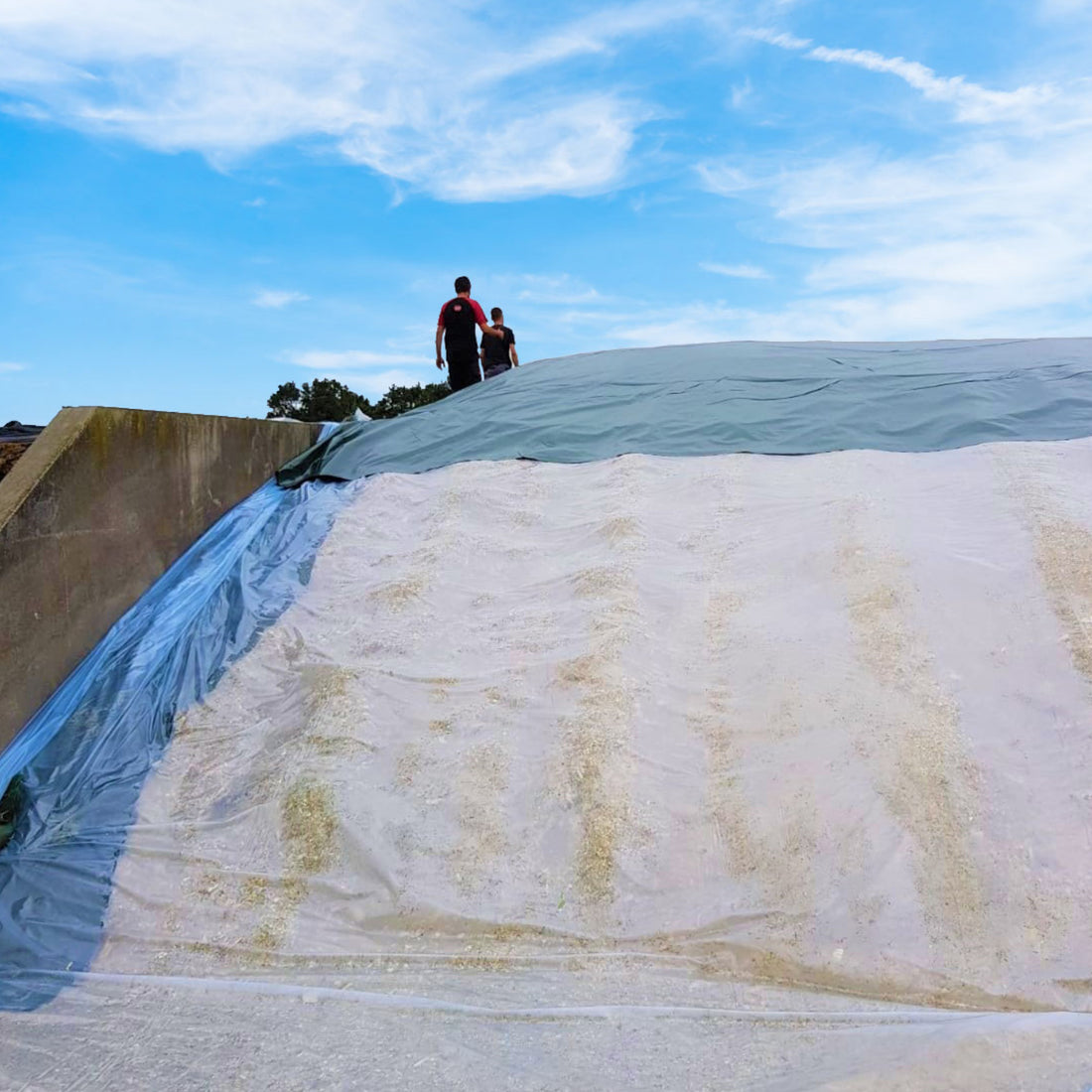 Installation of HITEC’s Combi silage film over pile of feed