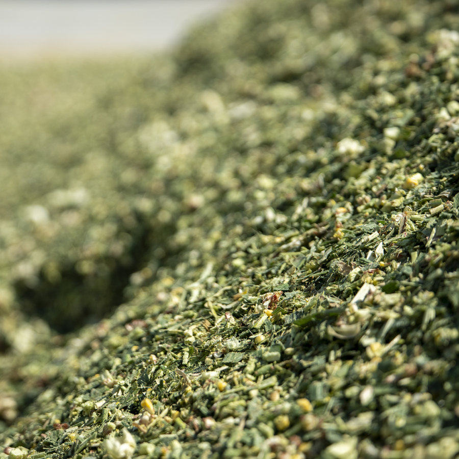 Silage Feed