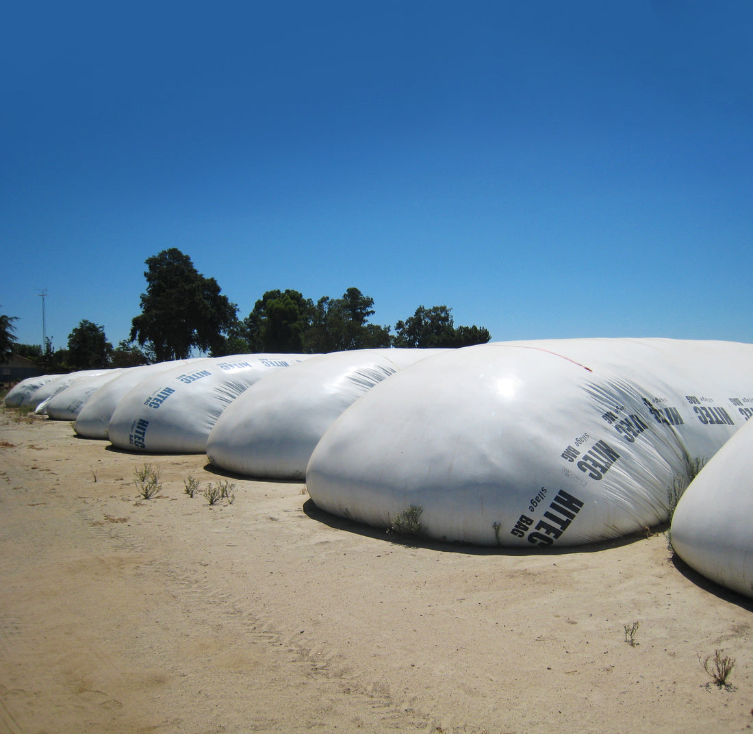 Large white silage bags by HITEC on a farm
