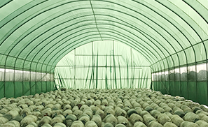 Films for animal shelters & mushroom houses